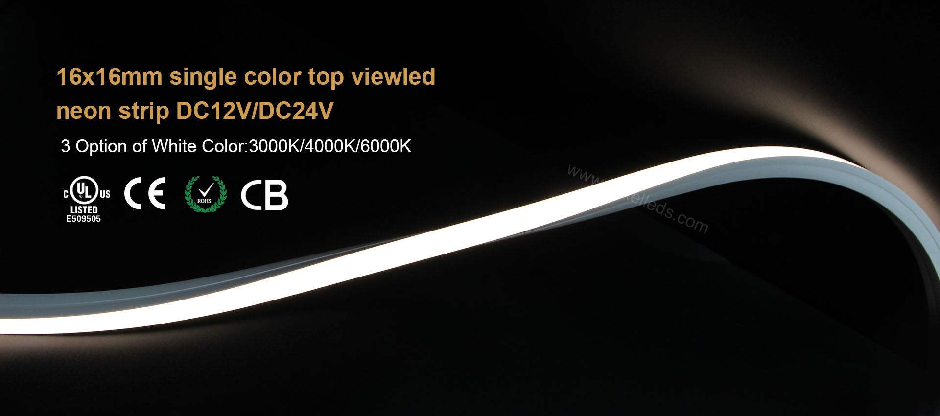16x16mm single color top view led neon strip Dc12V/DC24V